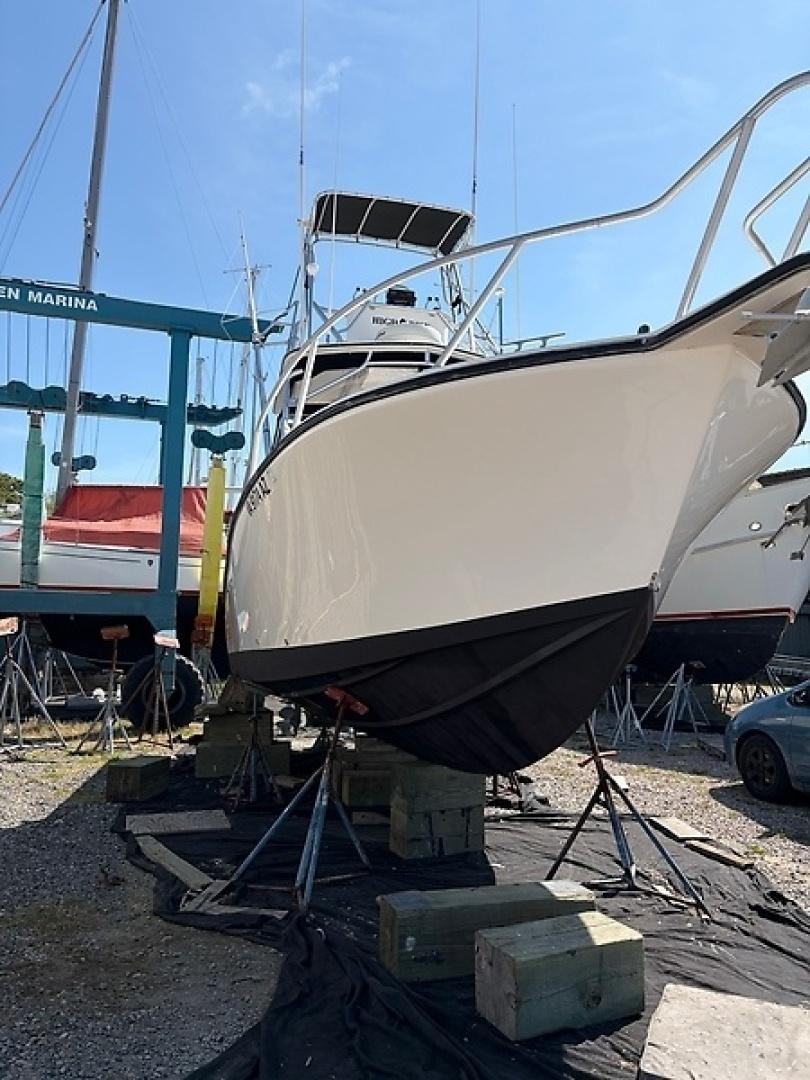 Photo 45