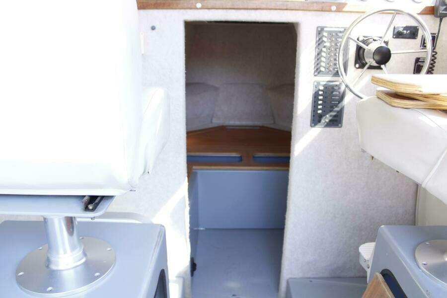 Photo 46