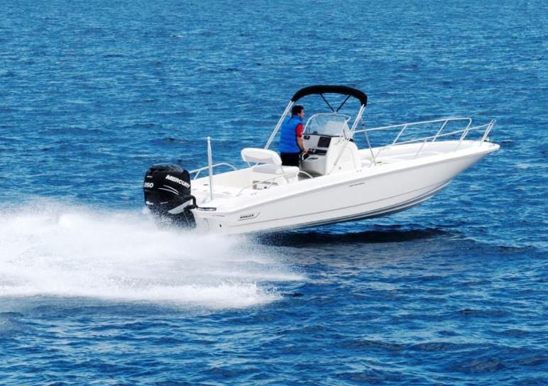 Boston Whaler 250 Dauntless