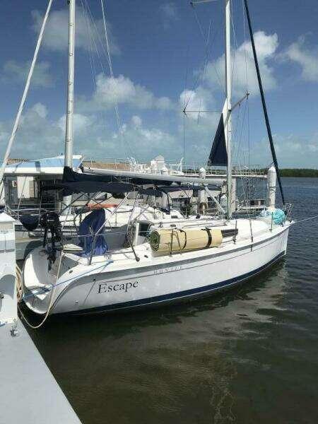 Hunter 31