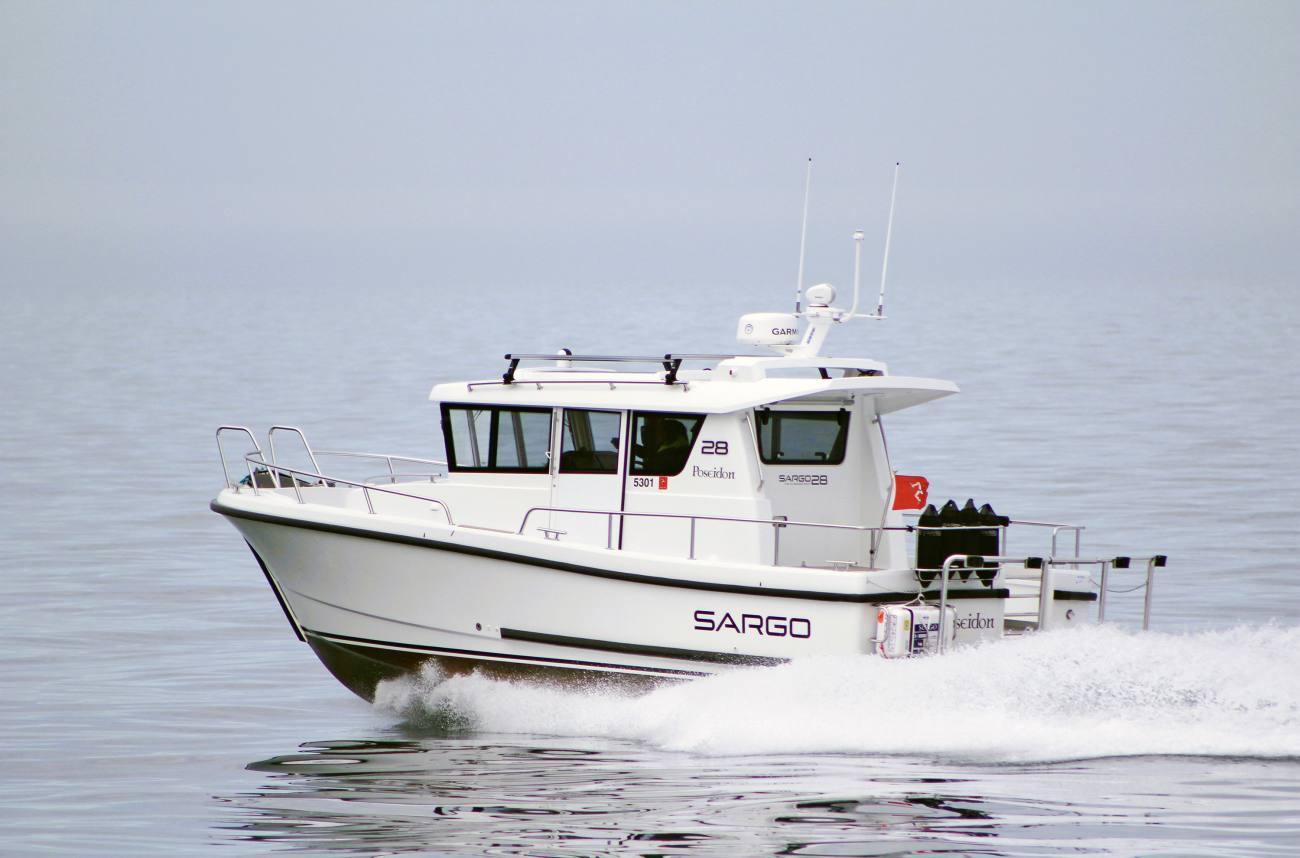 Sargo 28