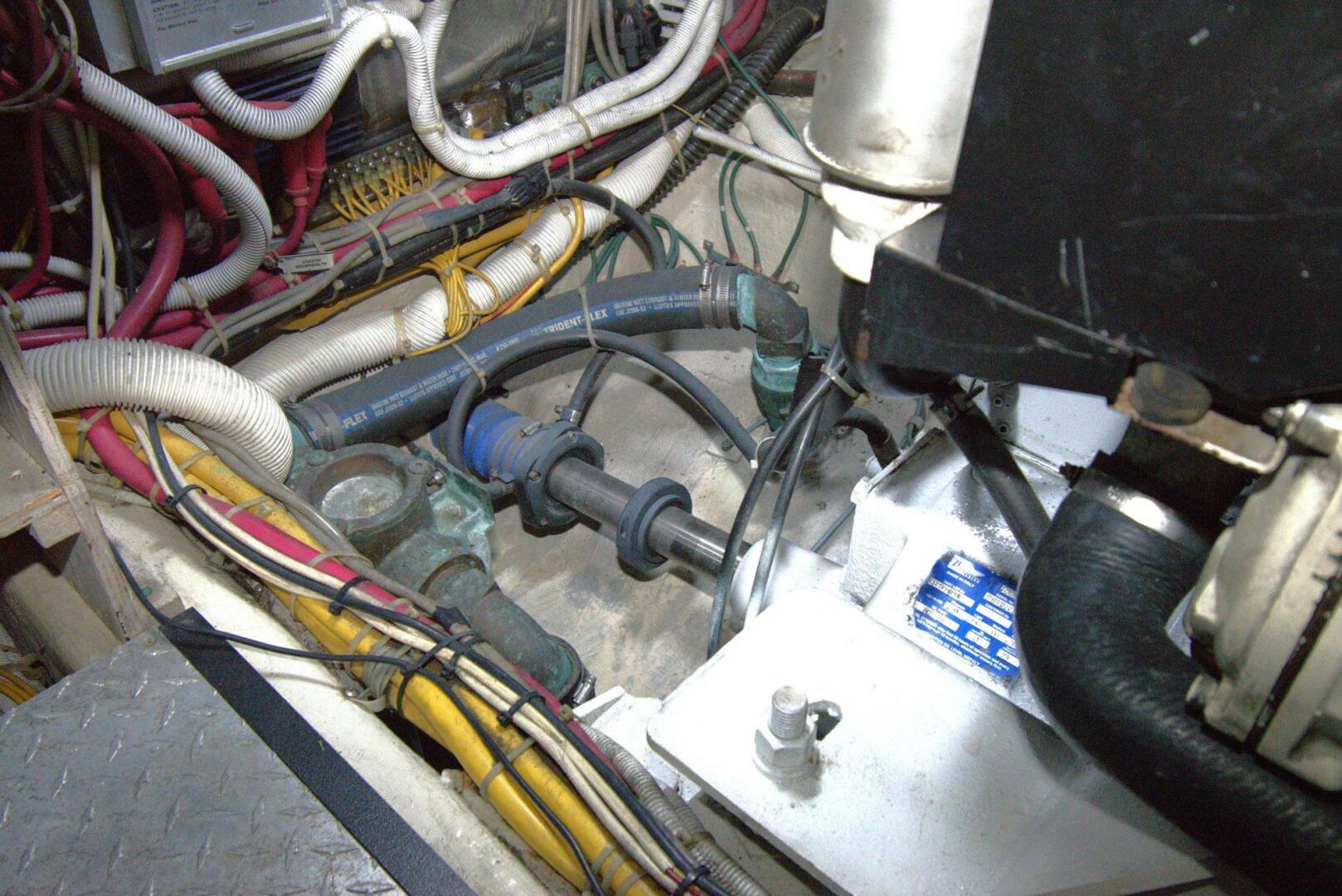 Photo 48