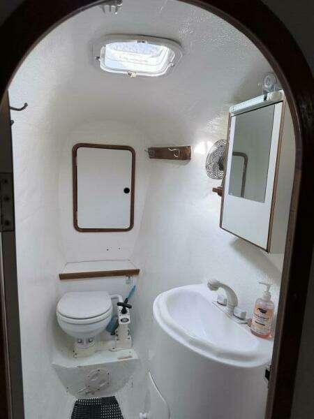Photo 41
