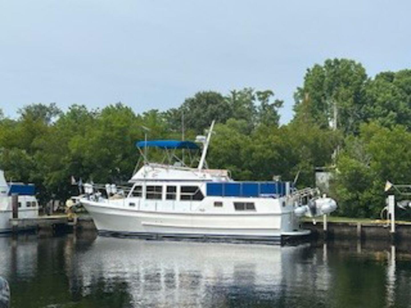 Golden Star 38