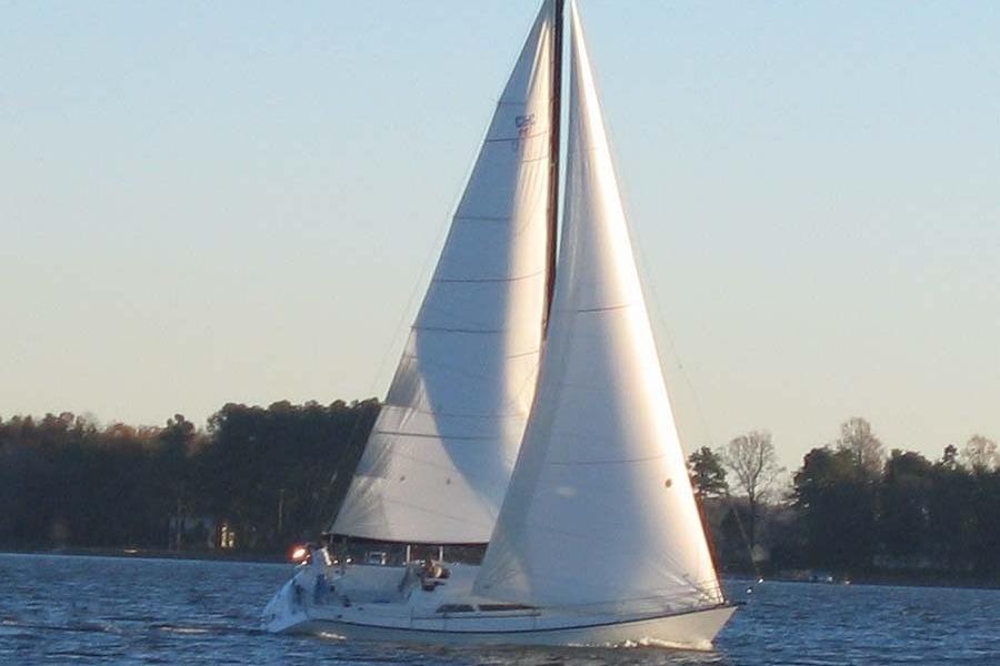 Photo 40