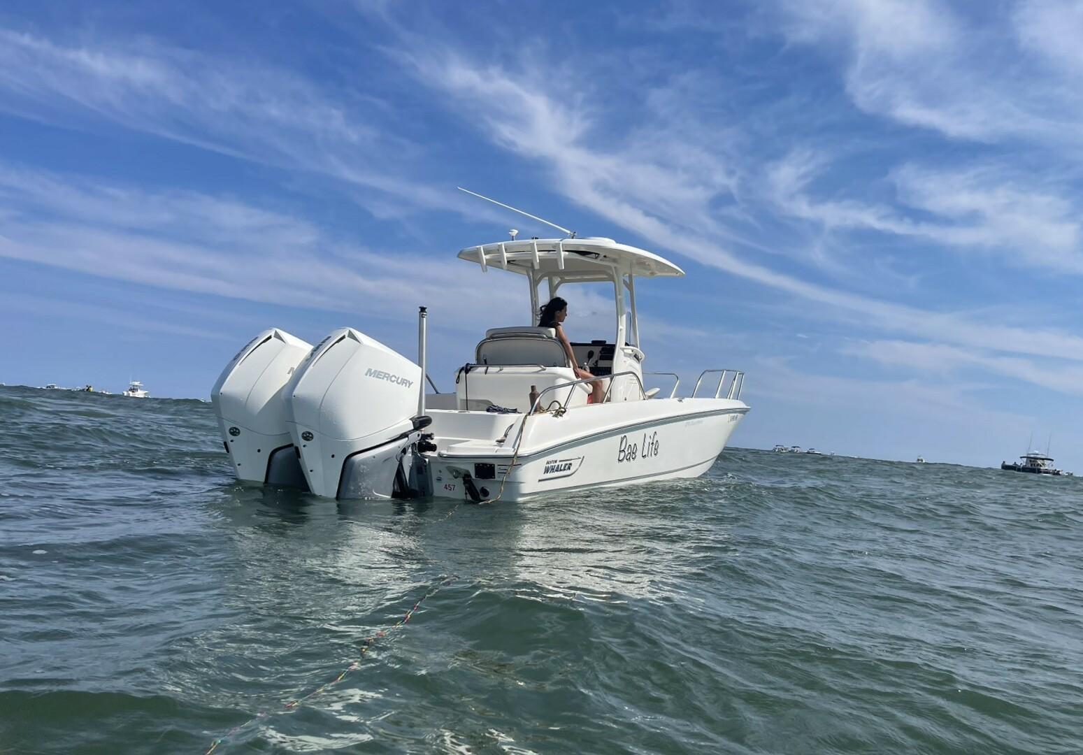 Boston Whaler 270 Dauntless