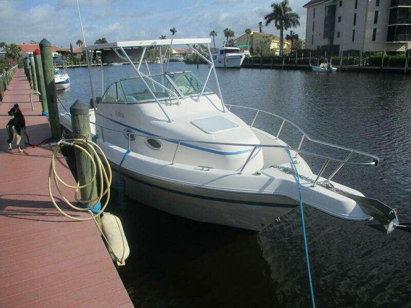 Proline 25'
