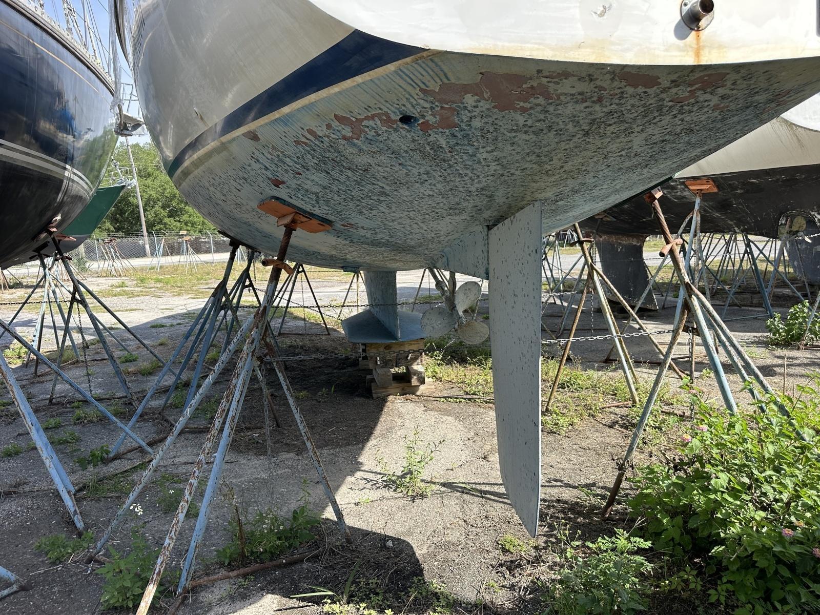 Photo 185