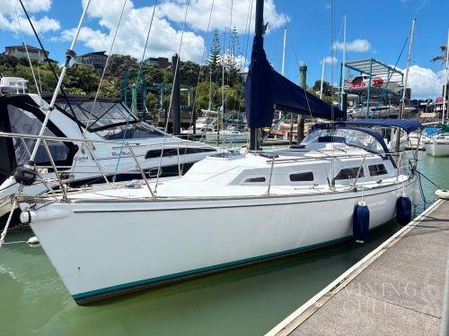 Beale 31
