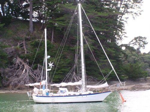 Cabo Rico Tiburon 36