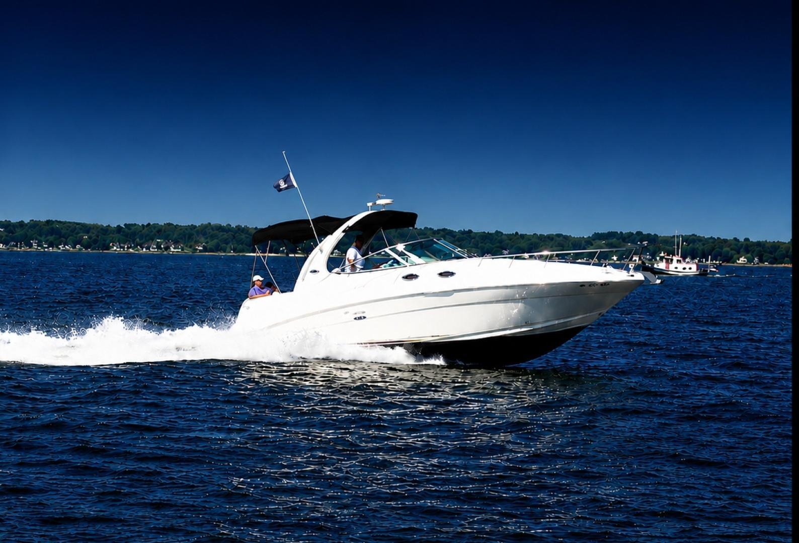 Sea Ray 300 Sundancer