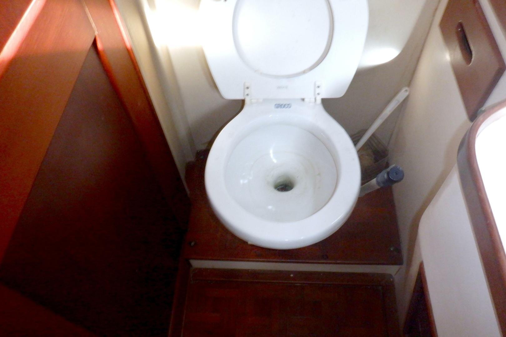 Photo 31