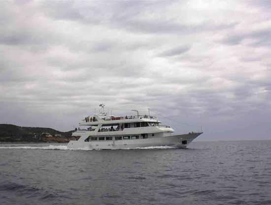 Steel Daily Cruiser II