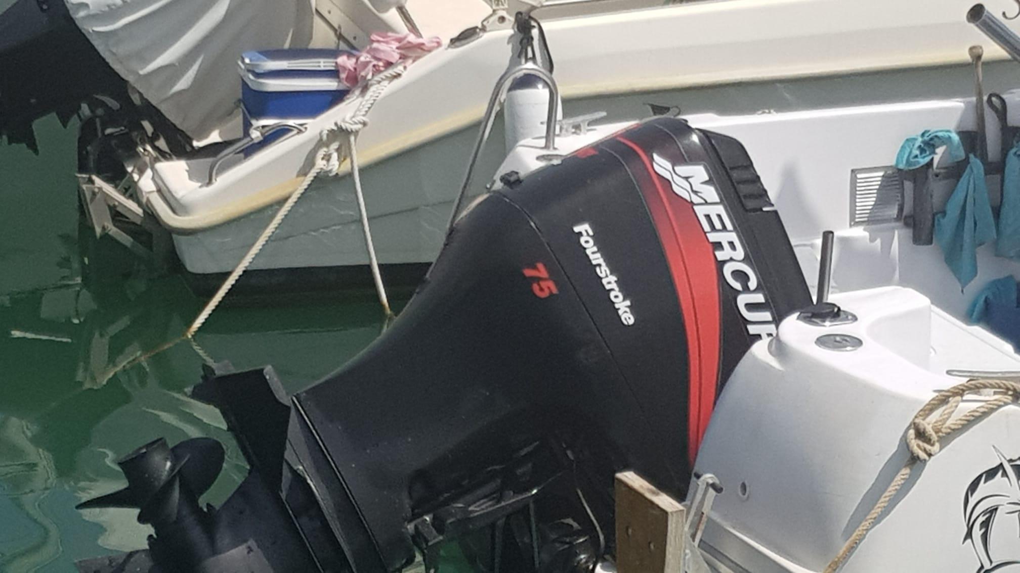 Quicksilver 560 Timonier