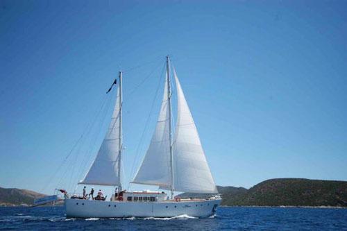 Steel Motor Sailer 23m.