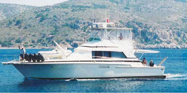 Bertram 54
