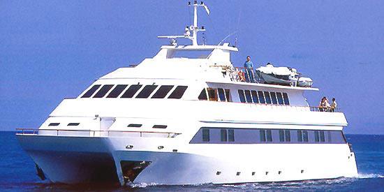 Steel Multihull /SOLD