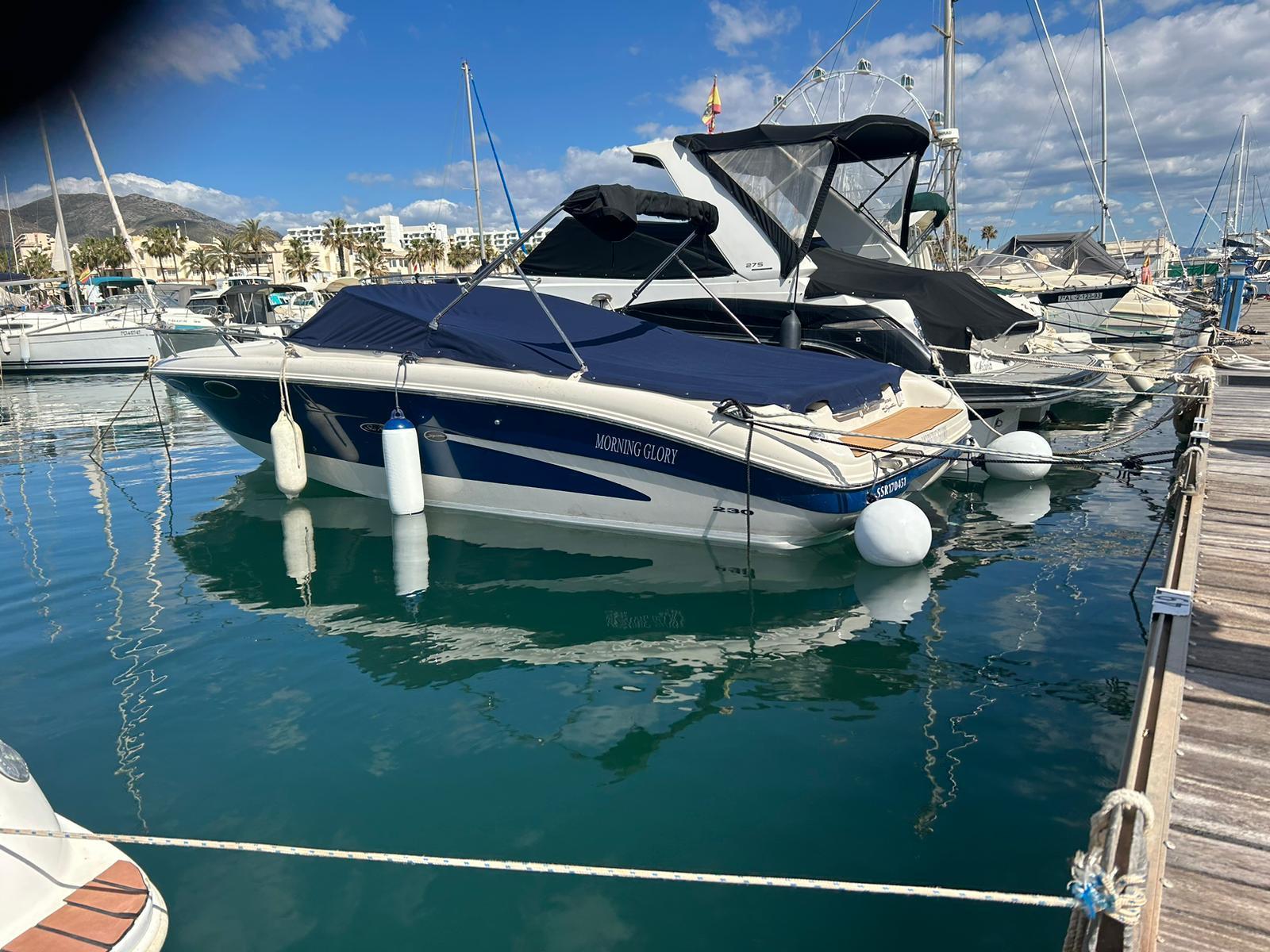 Sea Ray 230 Signature