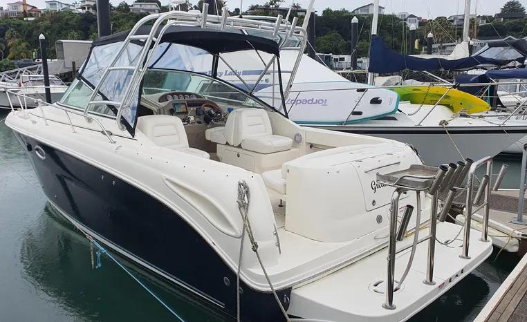 Sea Ray 290 Amberjack