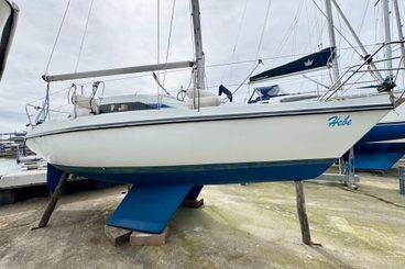 Hunter Horizon 273