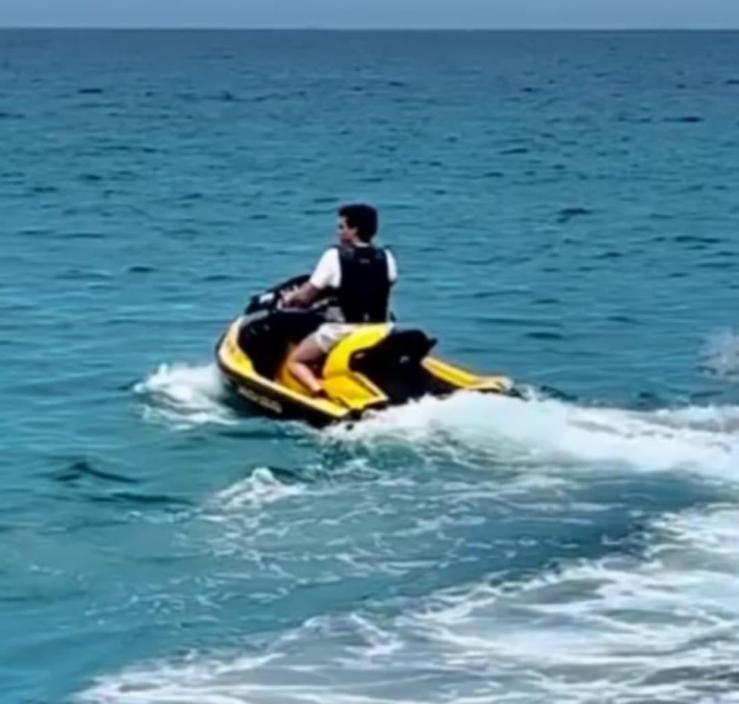 Sea-Doo 230