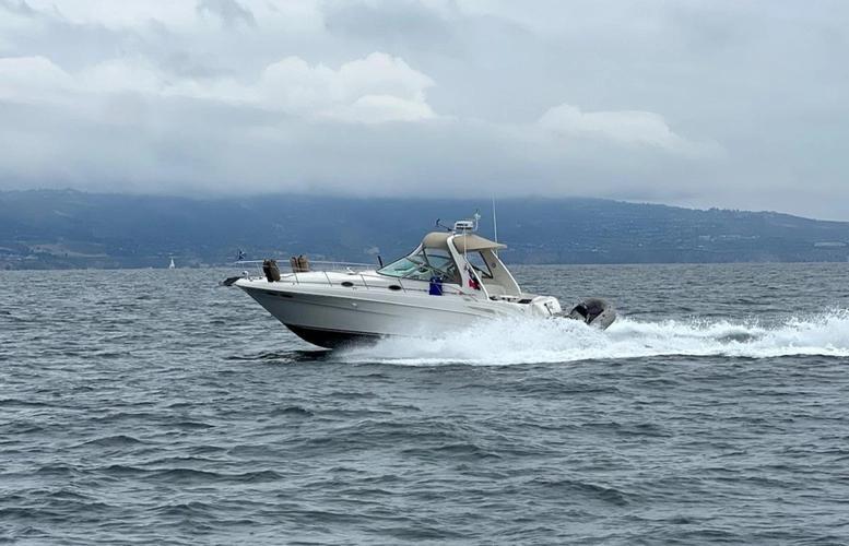 Sea Ray 34