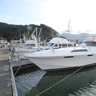 Vindex 375 Sport