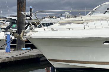 Photo 38