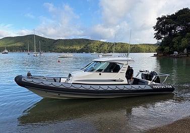 Rayglass Protector 850 RIB