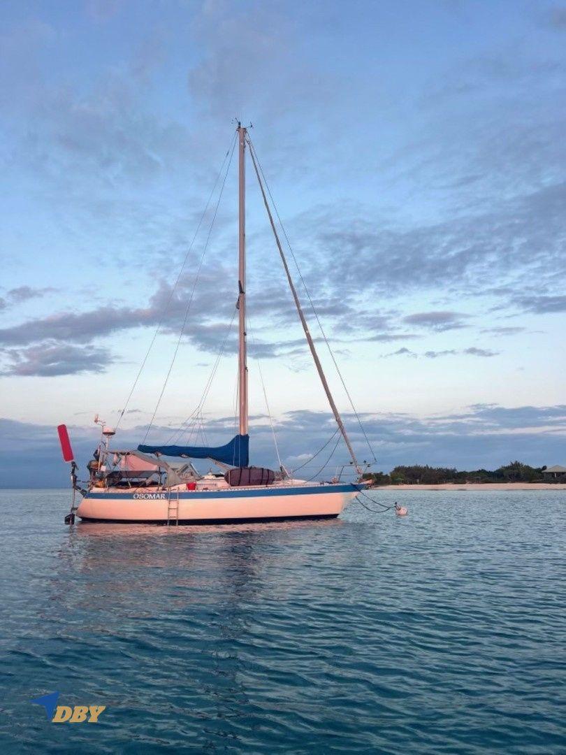 Wauquiez Gladiateur 33