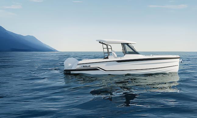 Wellcraft 28 T-Top
