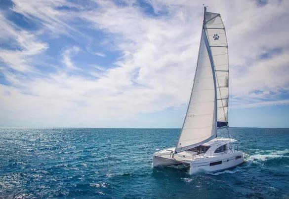 Leopard 40