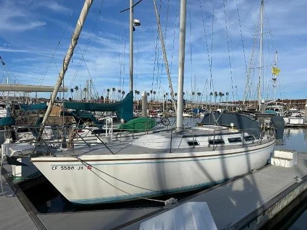 Catalina 36