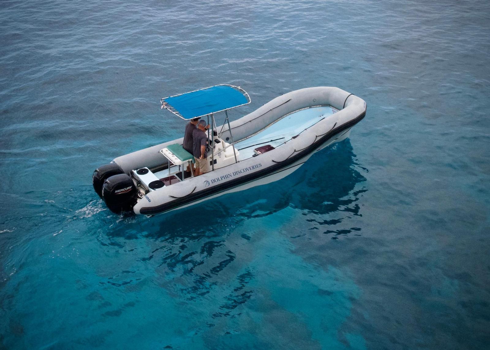 Navatek Sea Blade Sled RIB