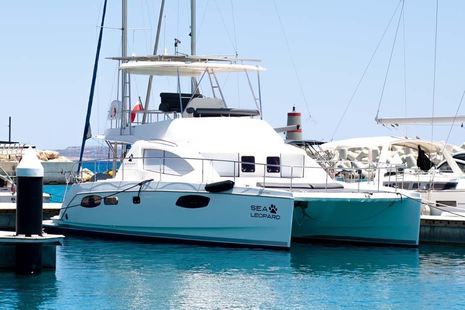 Leopard 39