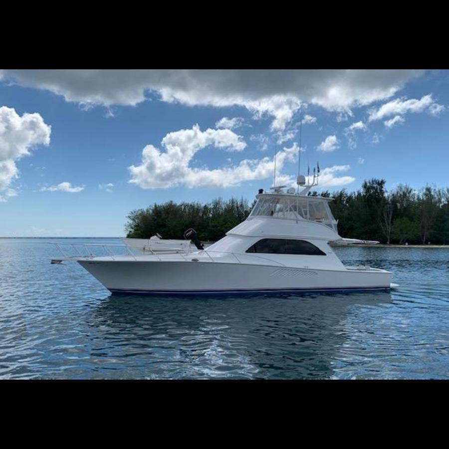 Viking for sale