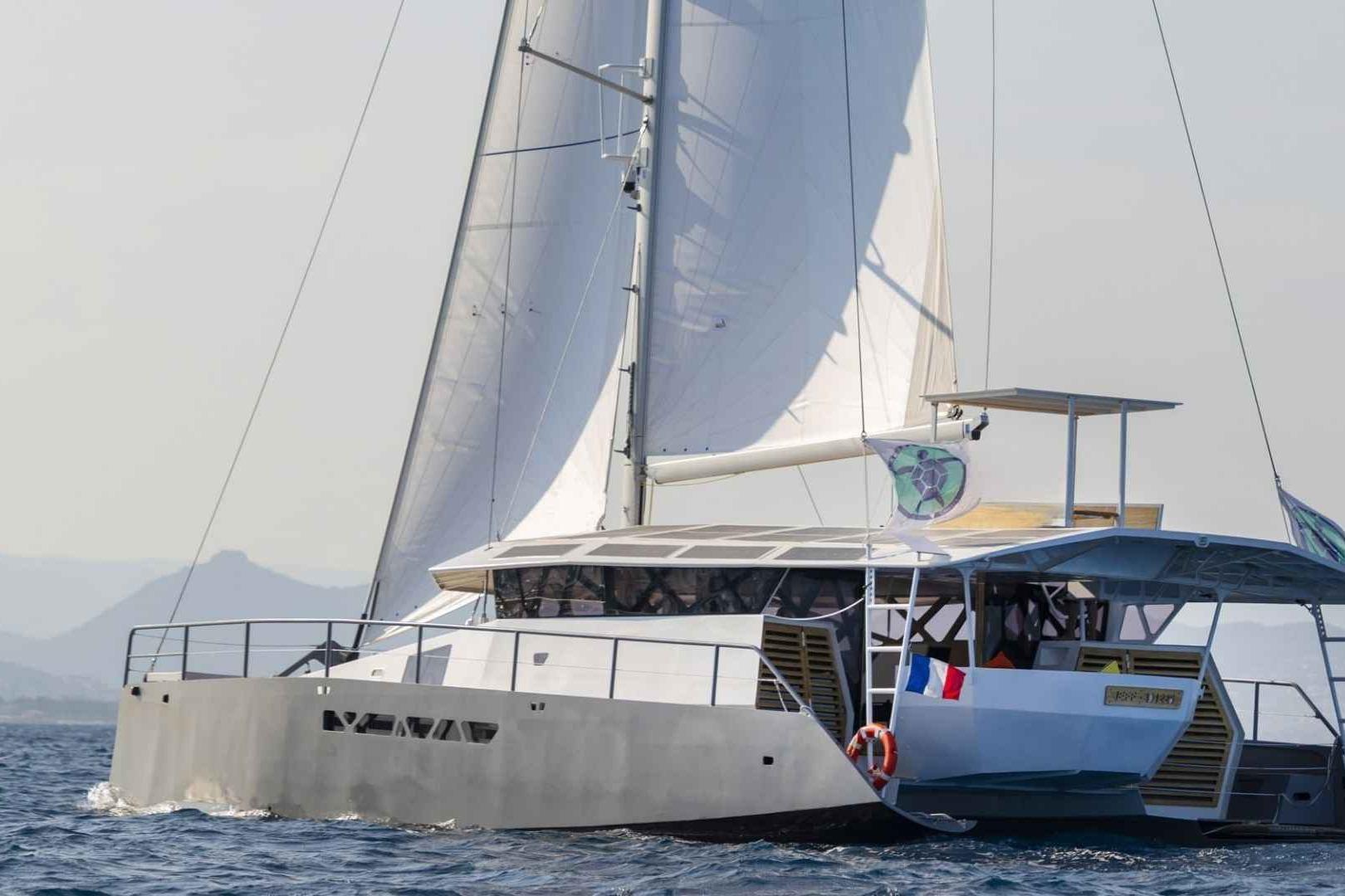 Cataruga Tortue 147 for sale