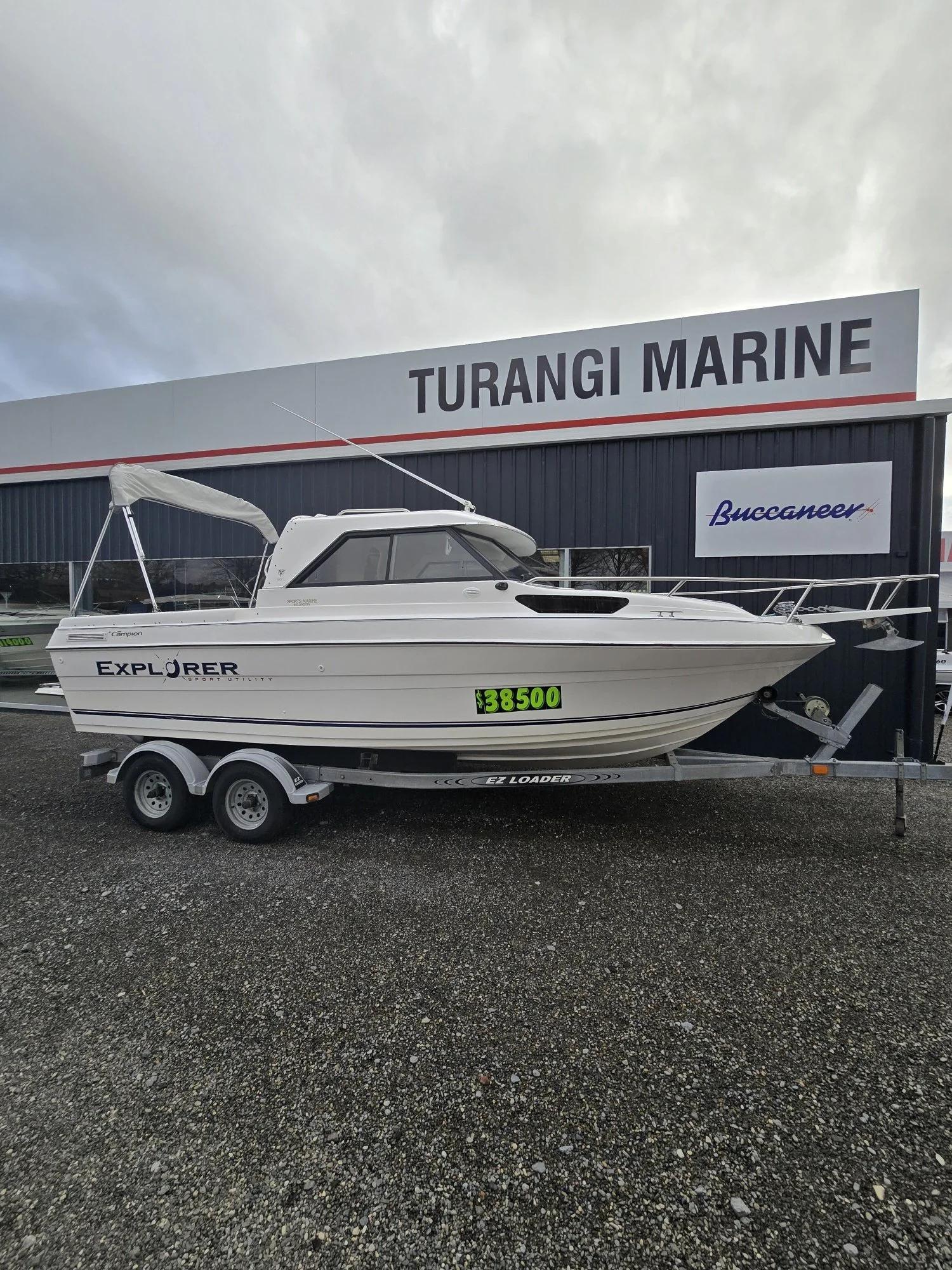 Campion for sale in Turangi