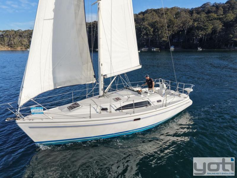 Catalina 309