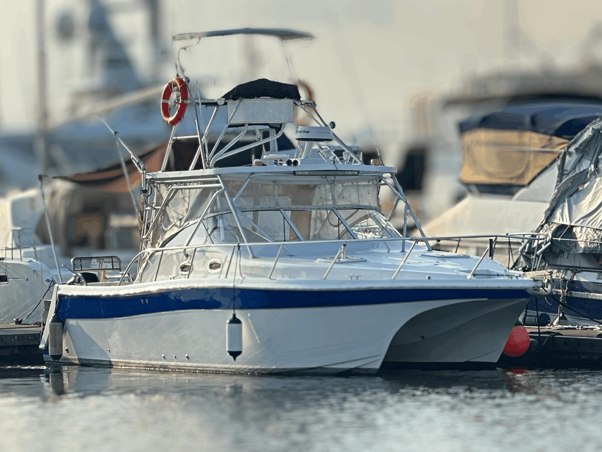 2004 Prokat 3660 for sale in RSYC