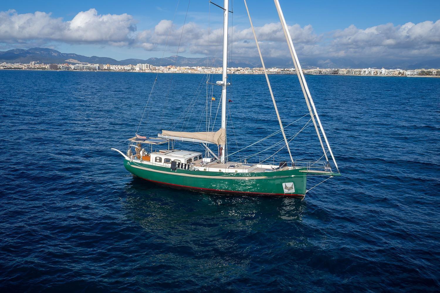 Puffin 50 for sale