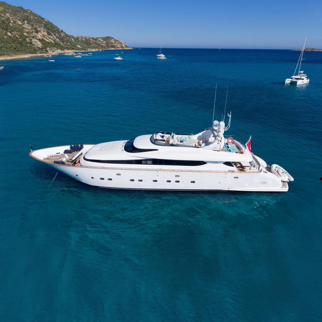 Maiora 31DP