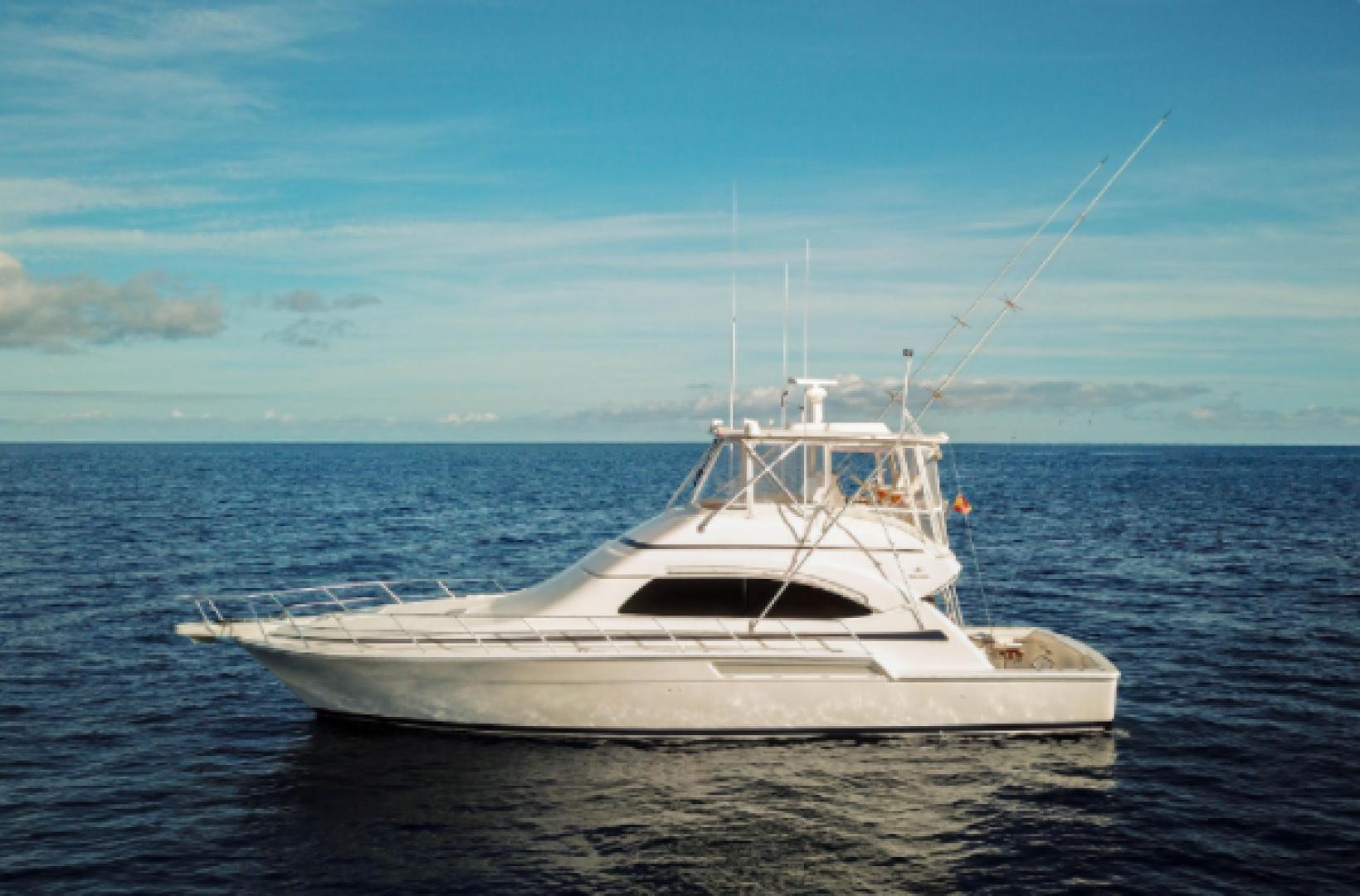 Bertram 510 Convertible for sale
