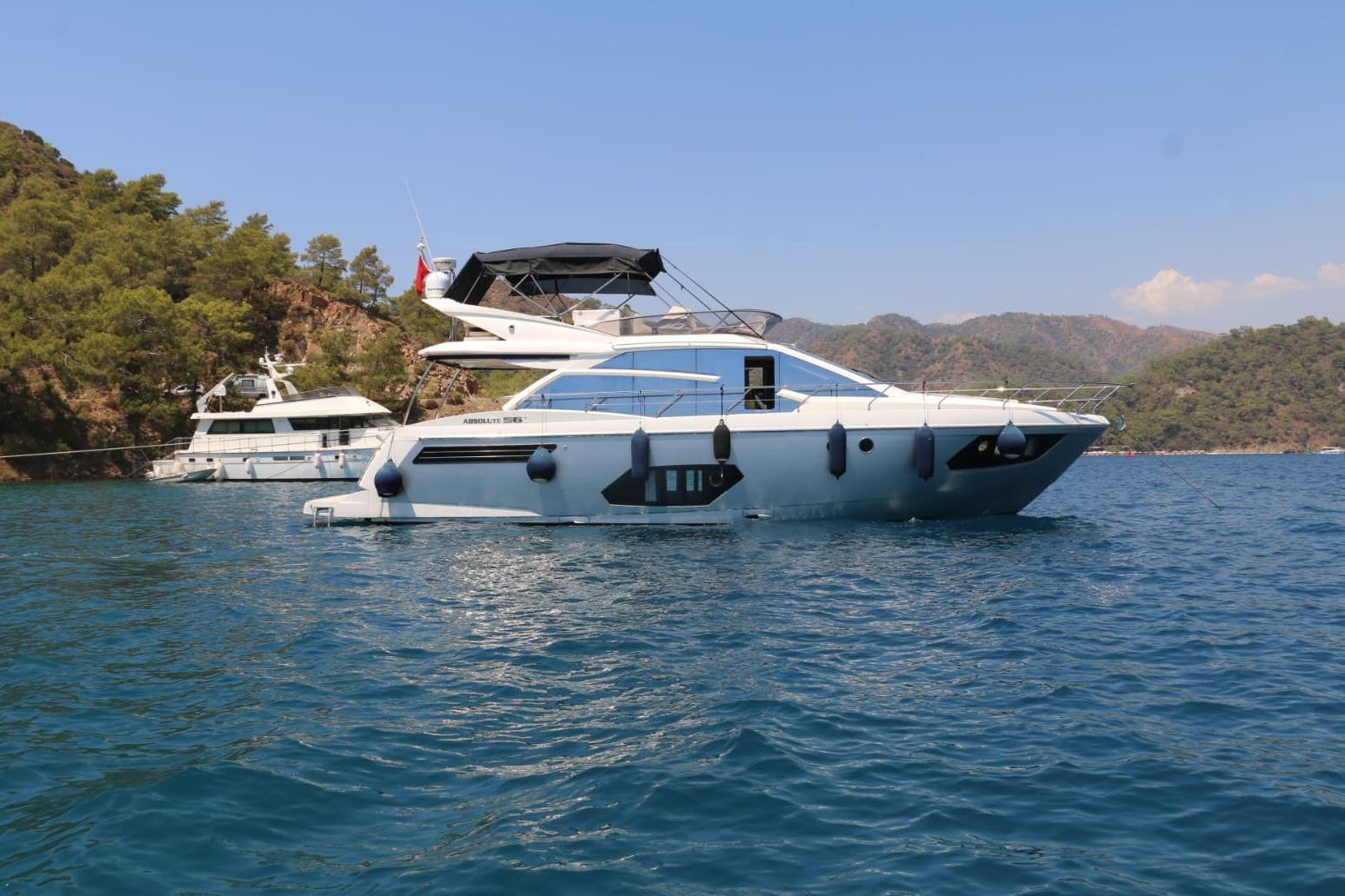 Absolute 56 FLY for sale
