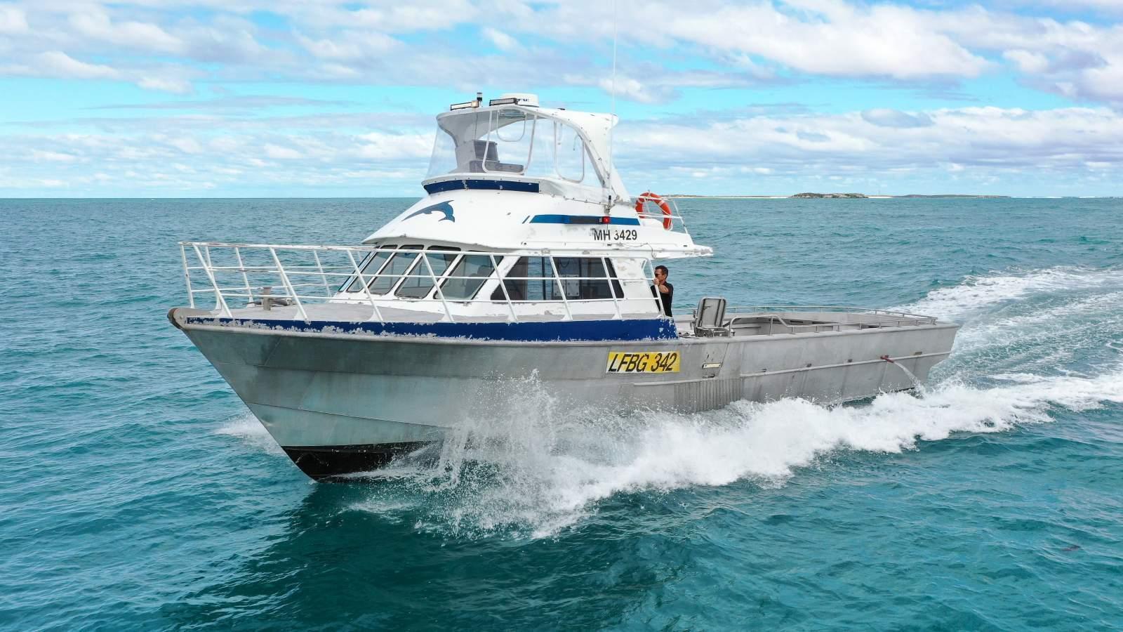 1989 Austal 15.18 for sale in Oceaneer Marine Brokers - Jurien Bay, Western Australia