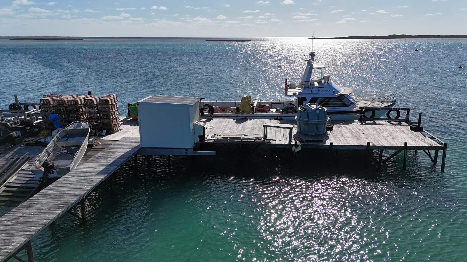 Photo 5