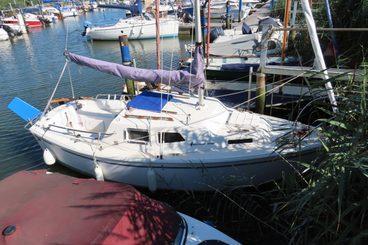 2009 West Wight Potter 19 for sale in Ridge Wharf Yacht Centre