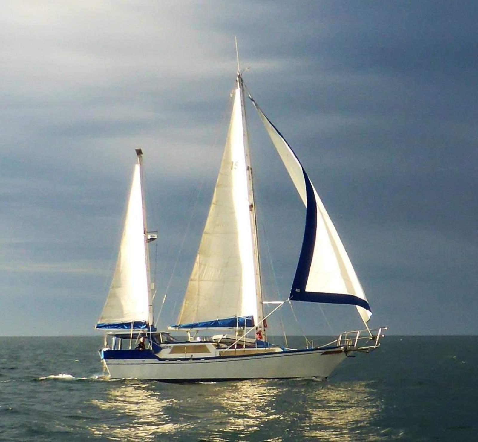 De Vries 34