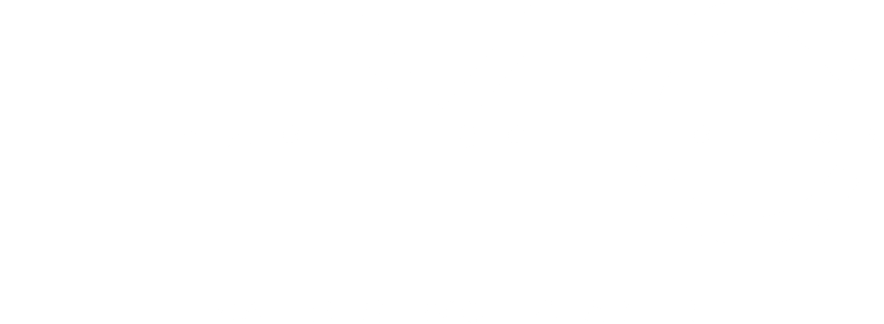 The Yacht Collection logo