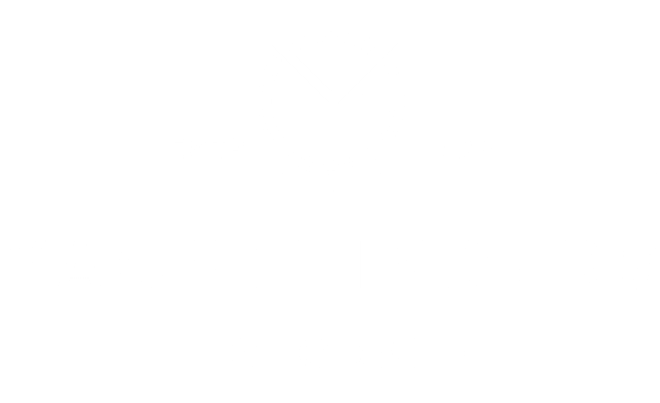 Yacht Finders Global logo